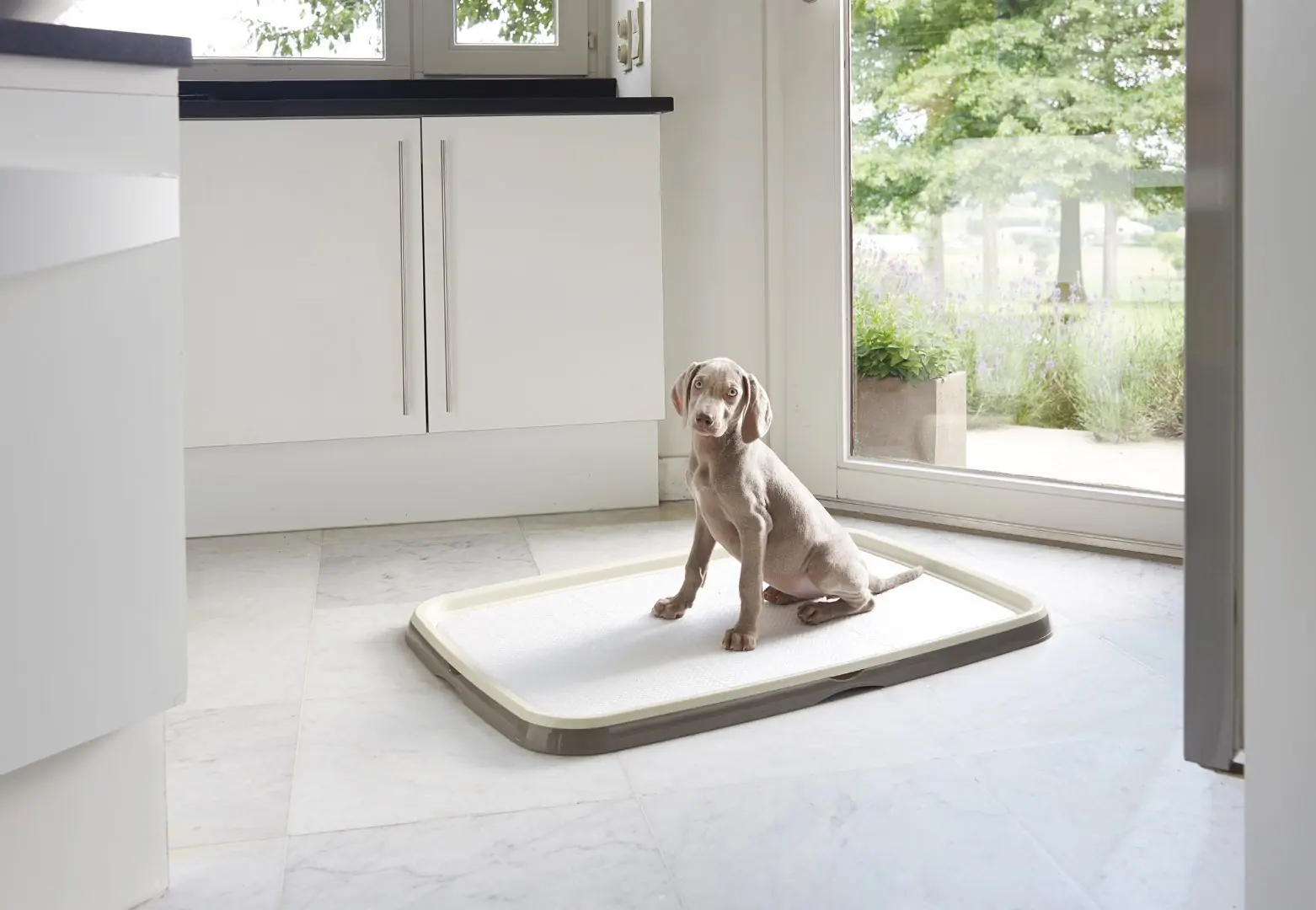 Savic puppy trainer starterkit XL Savic Gebr. de Boon