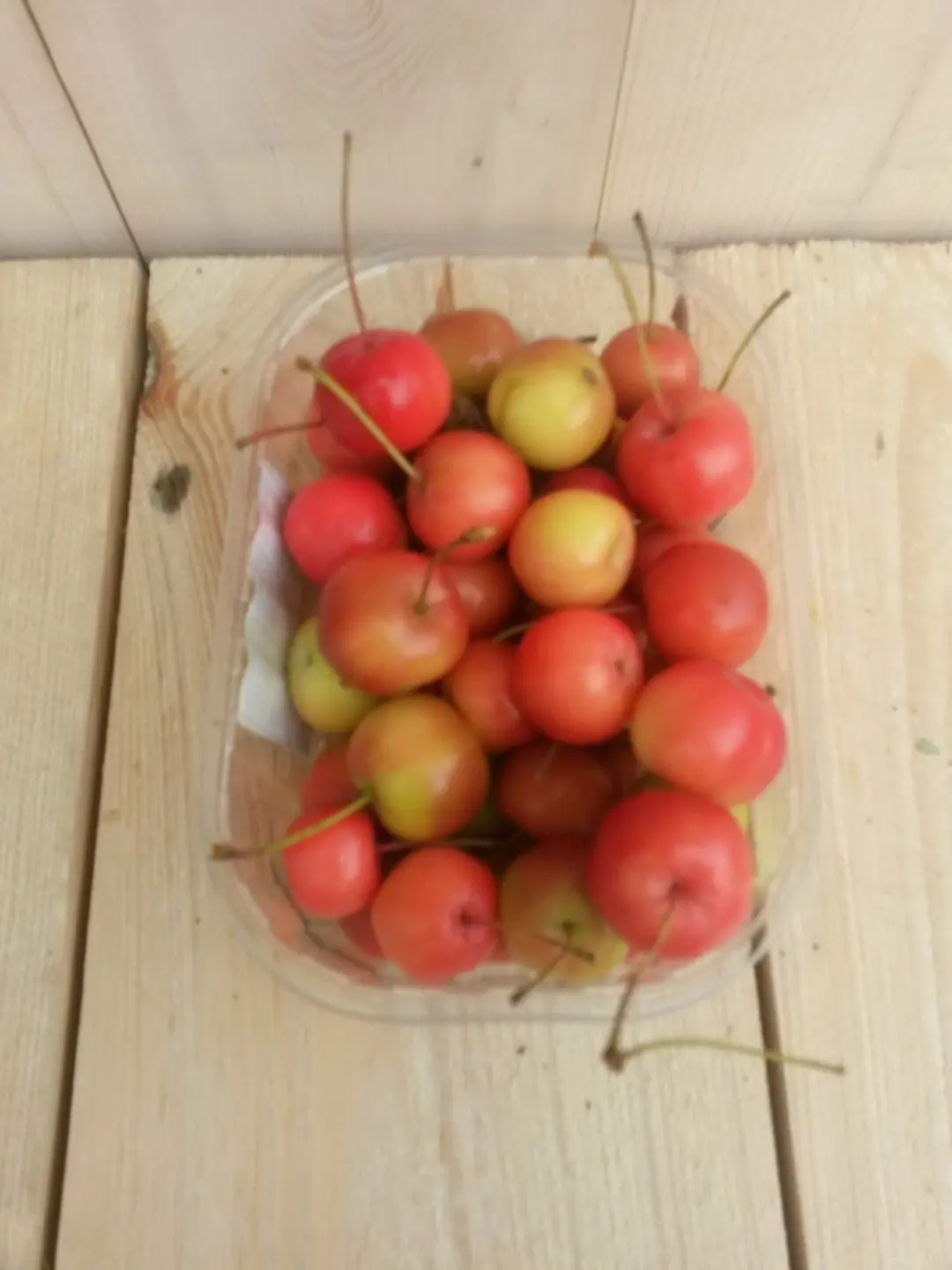 3 stuks! Decoratie appeltjes Warentuin Natuurlijk