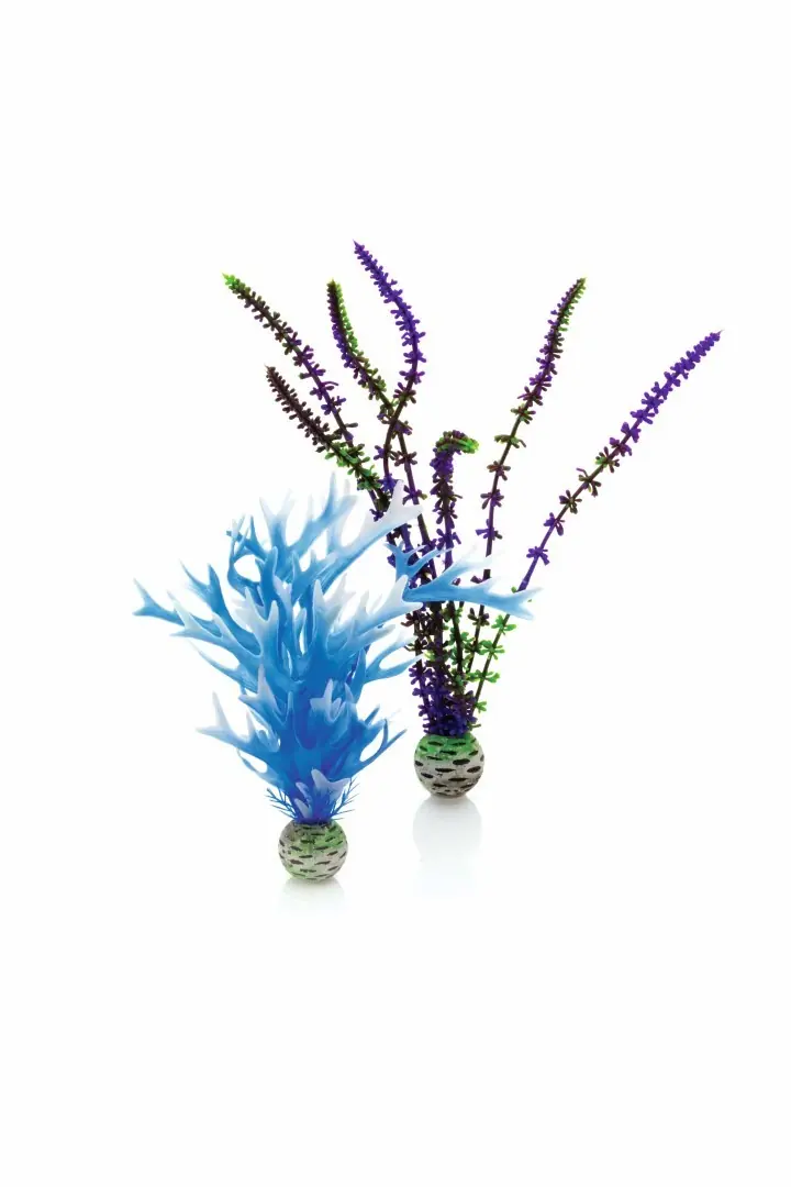 Aquariumtoebehoren plantenset medium blauw & paars biOrb