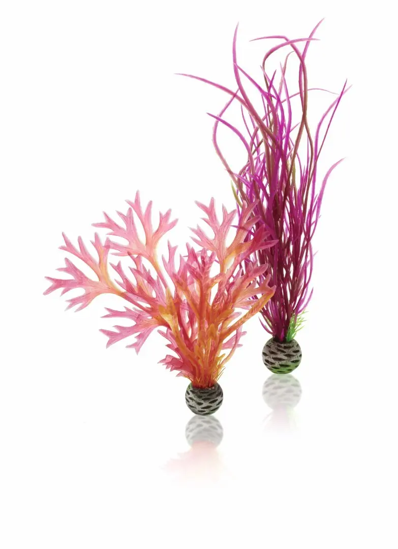 Aquariumtoebehoren plantenset medium rood & roze biOrb