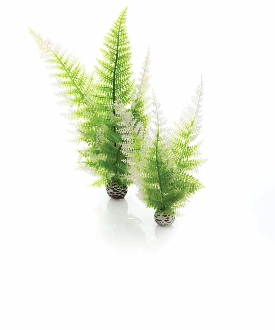 Aquariumtoebehoren wintervaren set 2 biOrb
