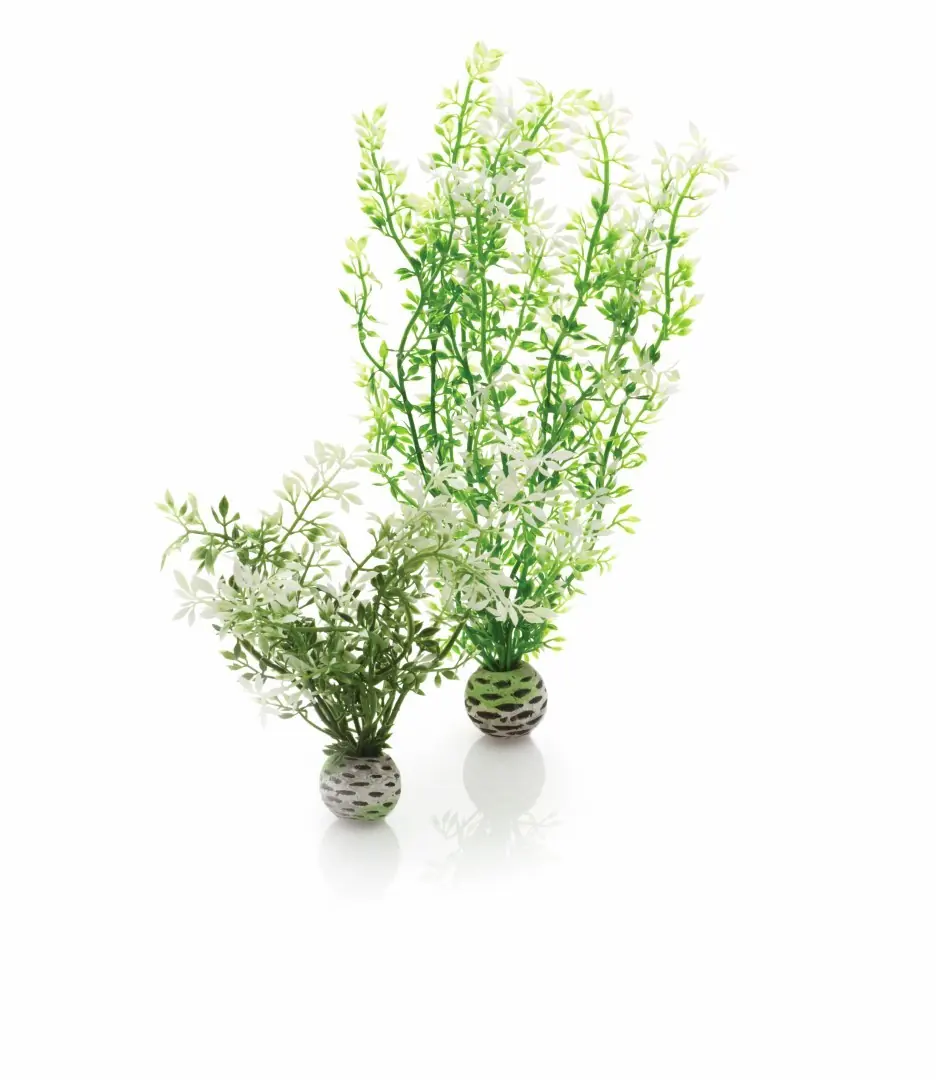 Aquariumtoebehoren winterbloem set 2 biOrb