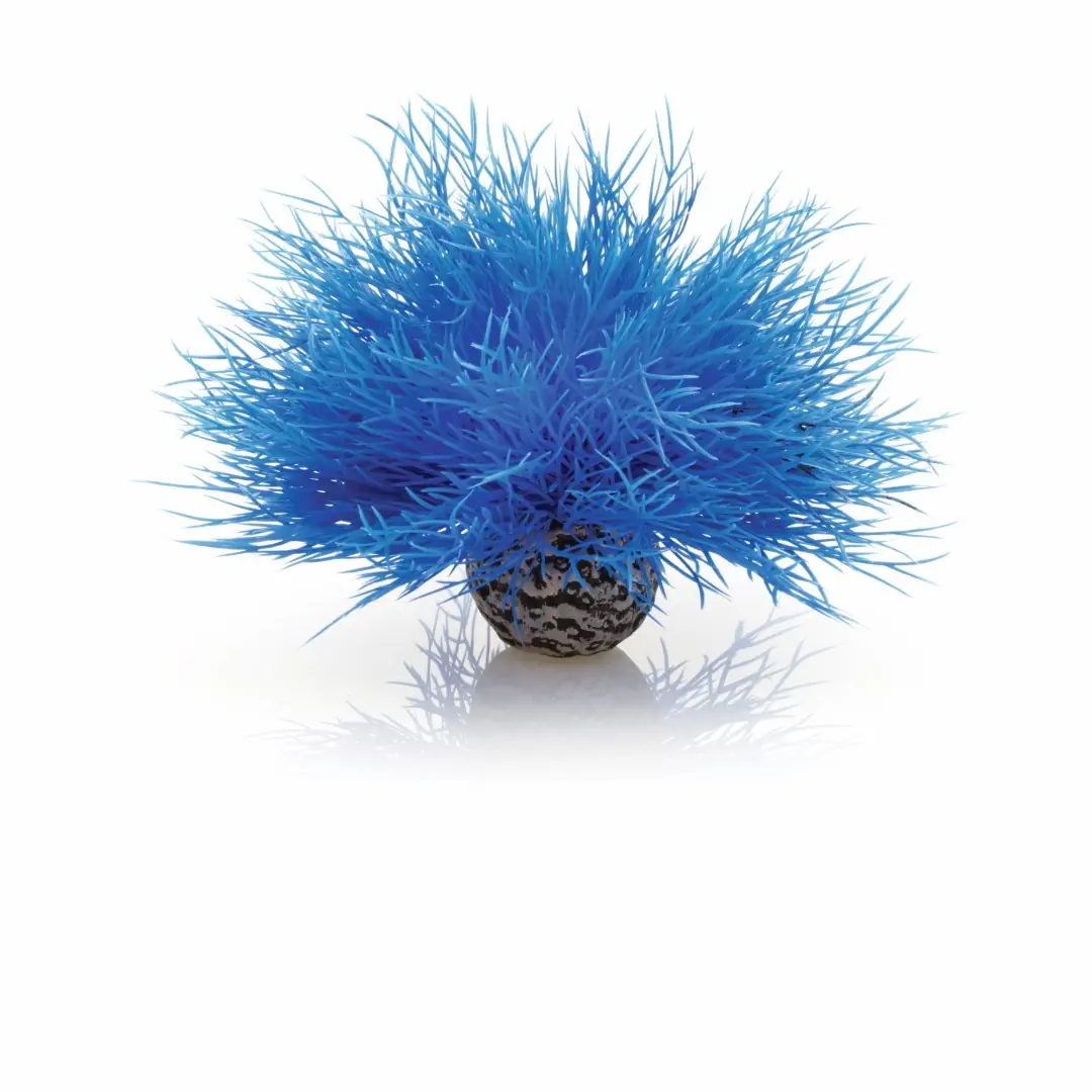 Aquariumtoebehoren zeelelie blauw biOrb