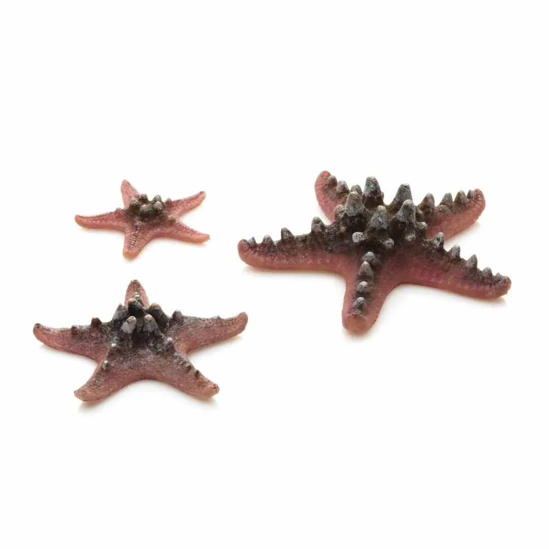 Aquariumtoebehoren zeester set 3 roze biOrb