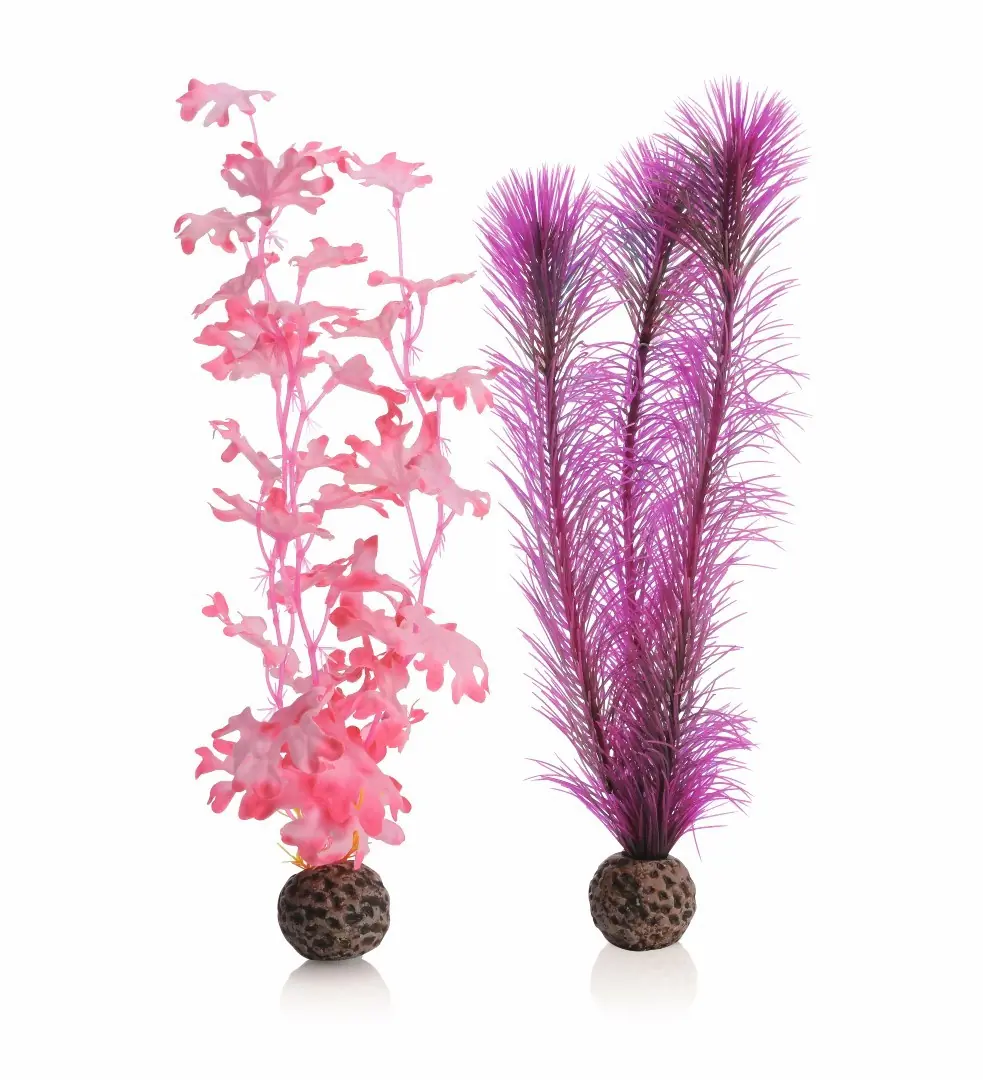Aquariumtoebehoren zeewier set medium pink biOrb
