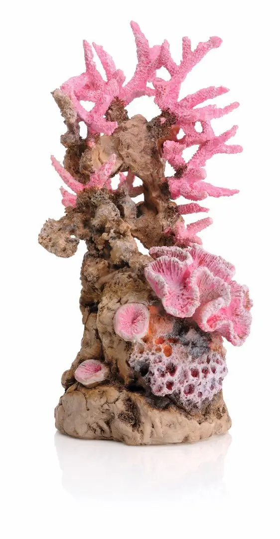 Aquariumtoebehoren koraalrif ornament roze biOrb