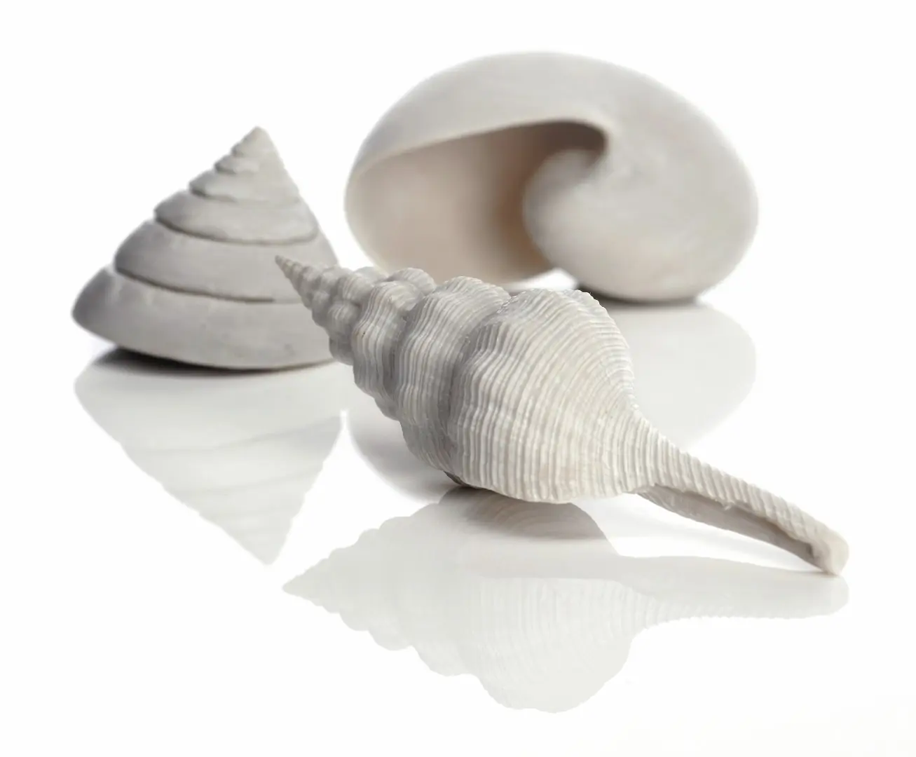 Aquariumtoebehoren schelp set 3 wit biOrb