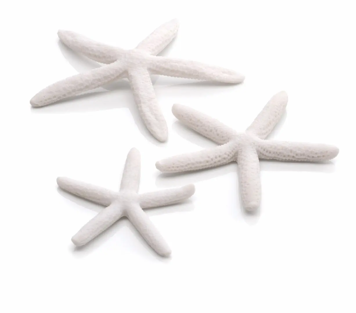 Aquariumtoebehoren zeester set 3 wit biOrb
