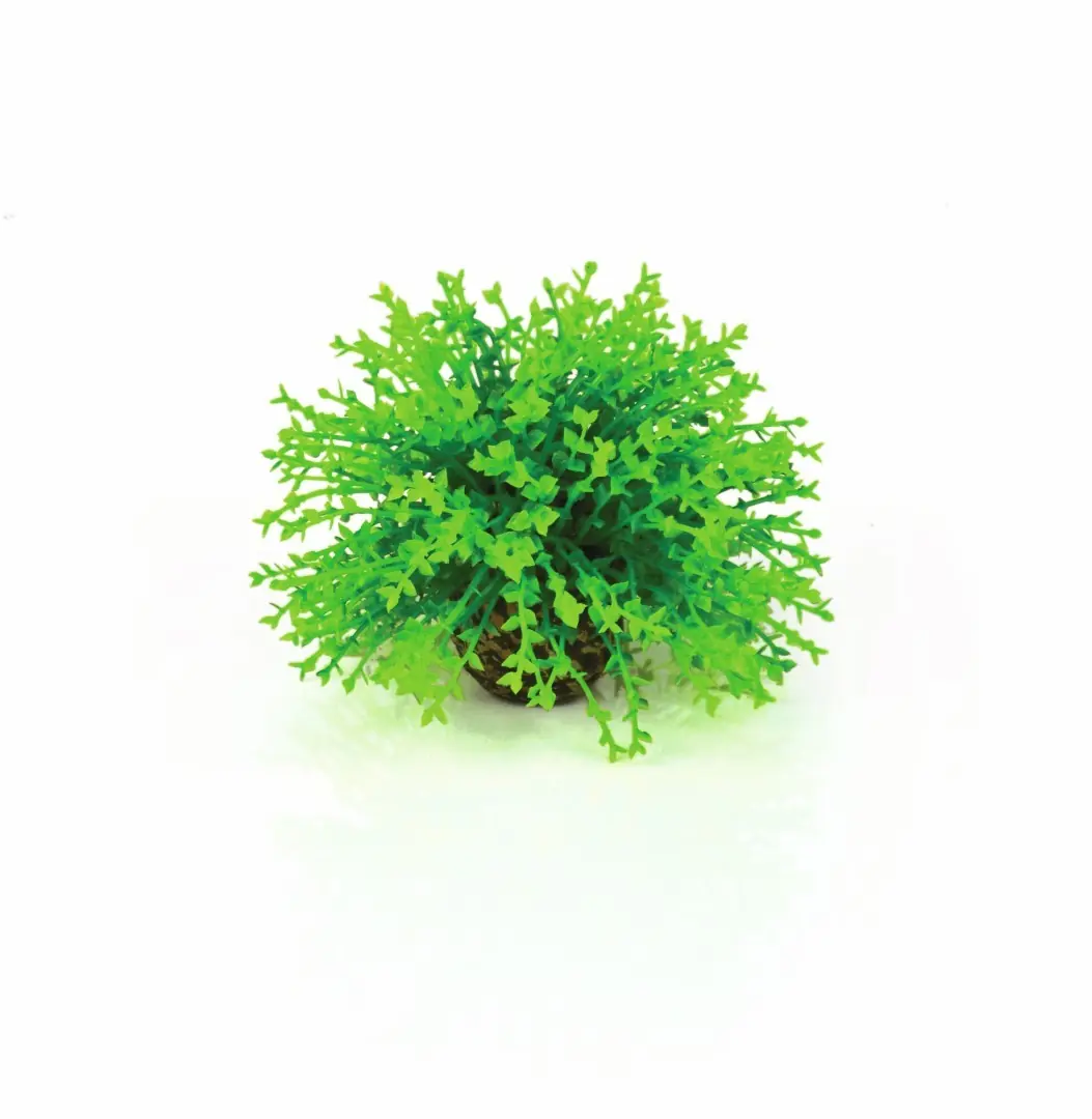 Aquariumtoebehoren decobol groen biOrb