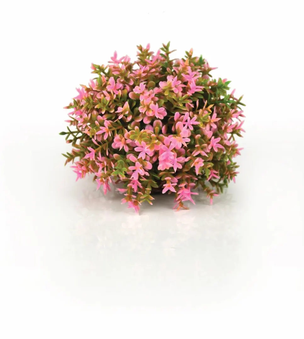 Aquariumtoebehoren decobol pink biOrb