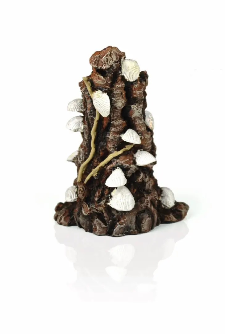 Aquariumtoebehoren schelp op schors ornament wit biOrb