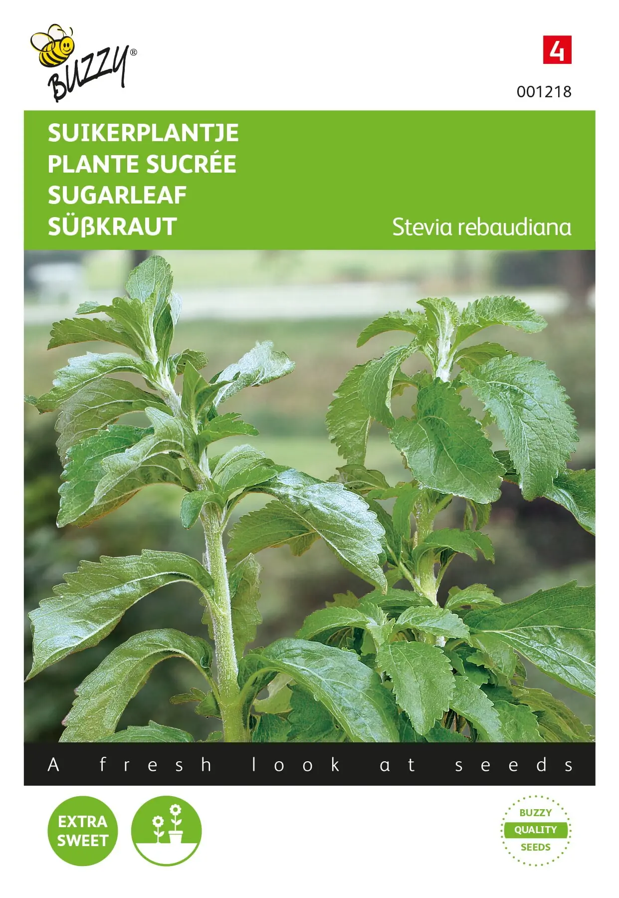 Stevia, Suikerplantje of Honingkruid Zaden Buzzy Seeds