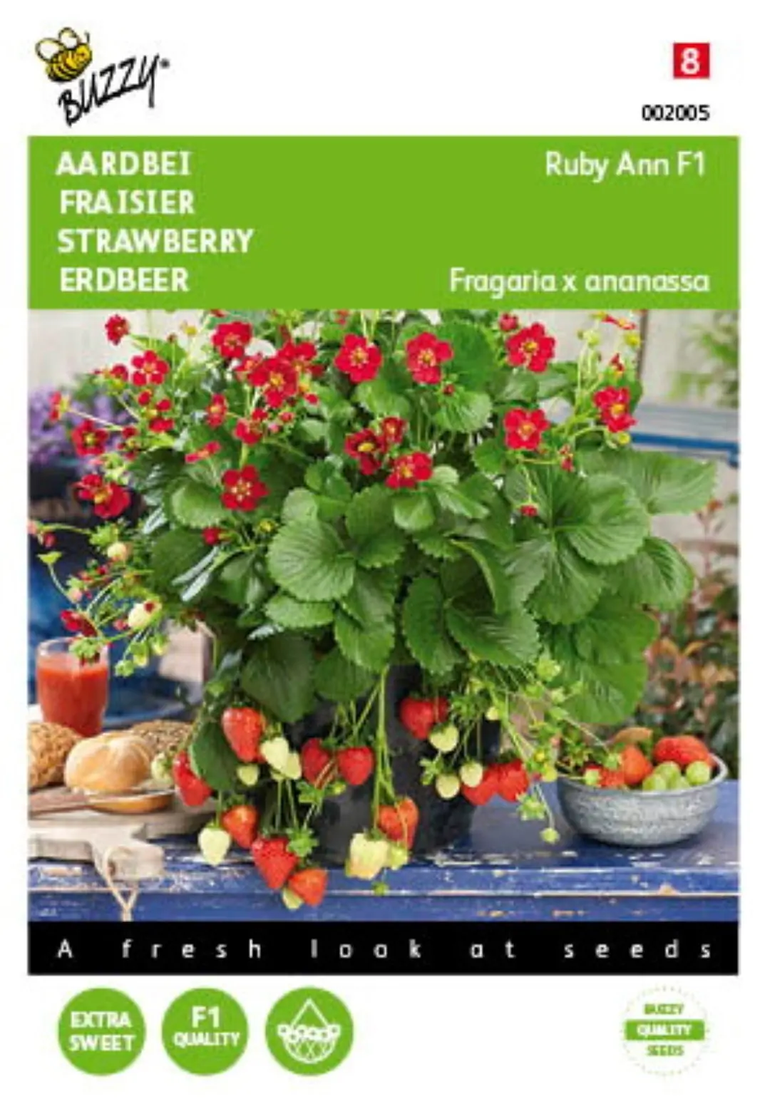 Zaden Hangaardbei Ruby Ann F1 roodbloeiend Buzzy