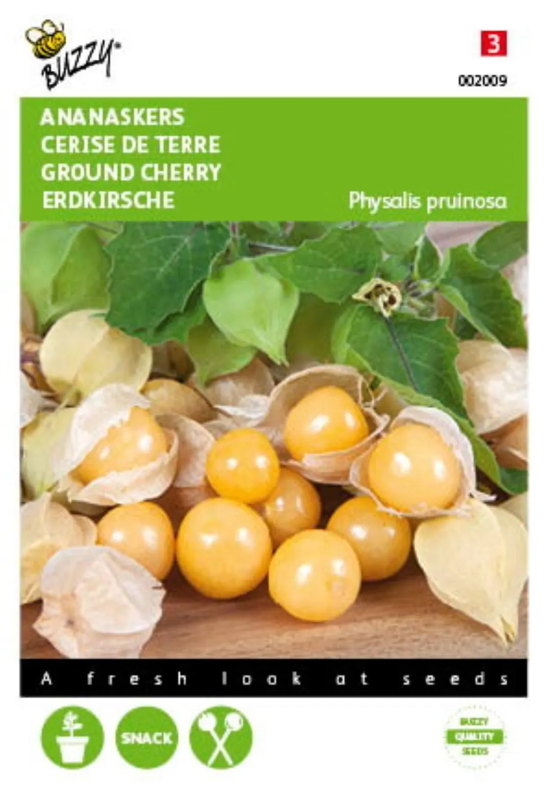 Zaden Ananaskers Physalis pruinosa Buzzy