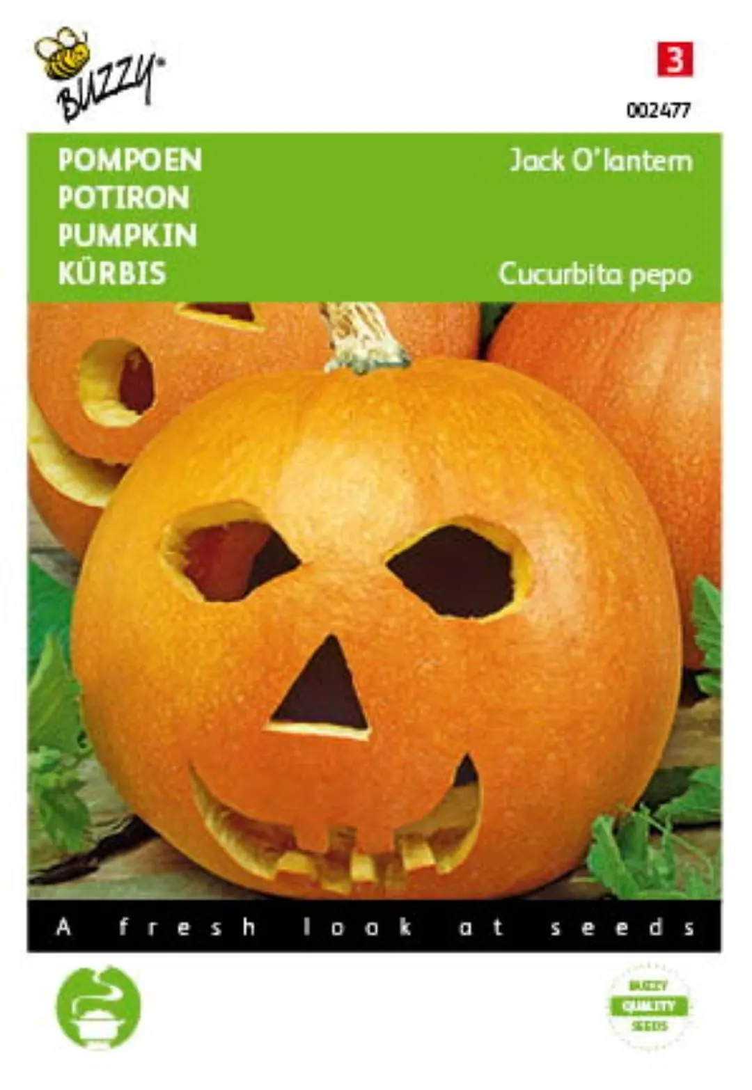 Zaden Pompoenen Jack O'Lantern (Cucub.Pepo) Buzzy