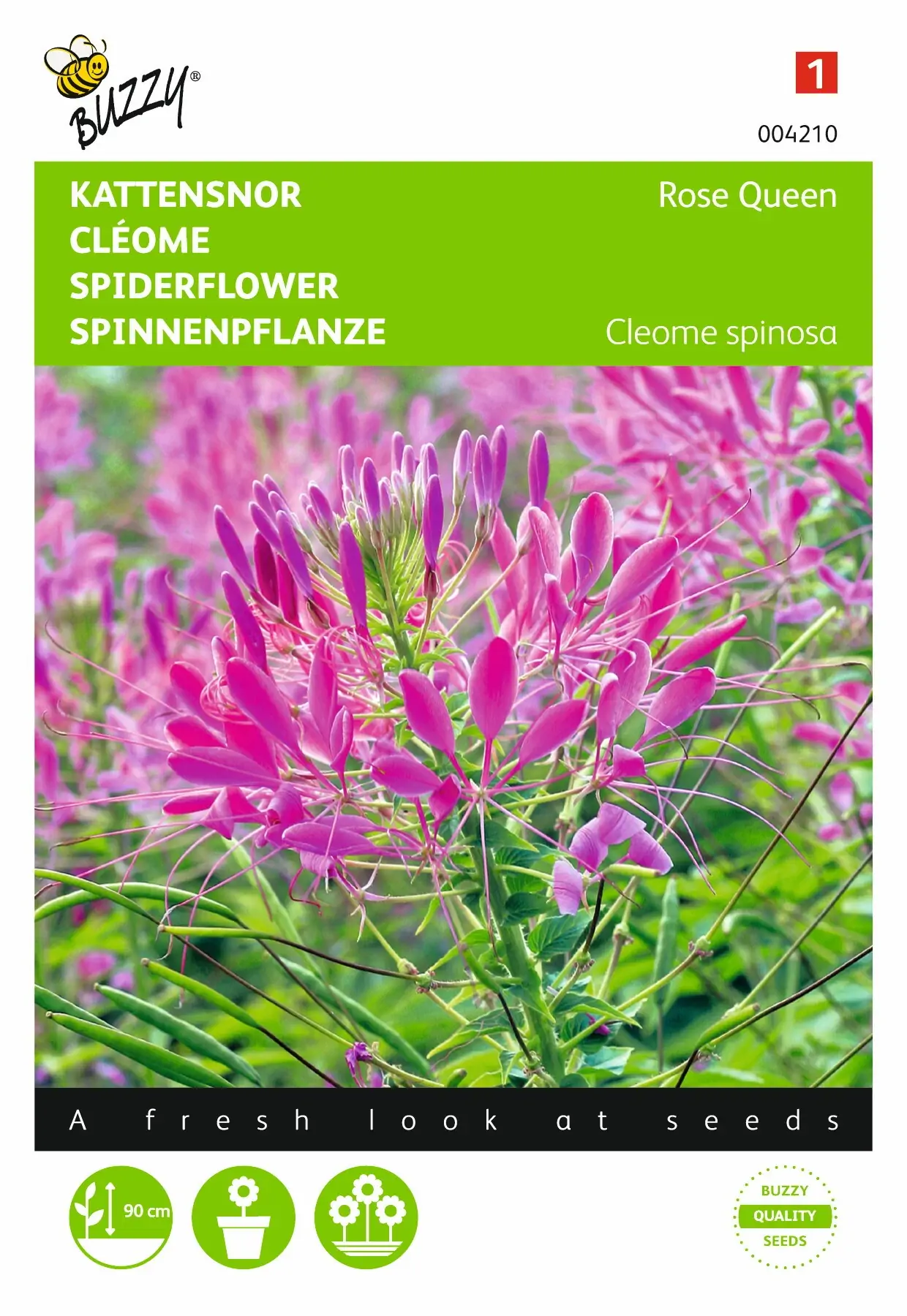 Zaden Cleome Kattensnor Rose Queen Buzzy