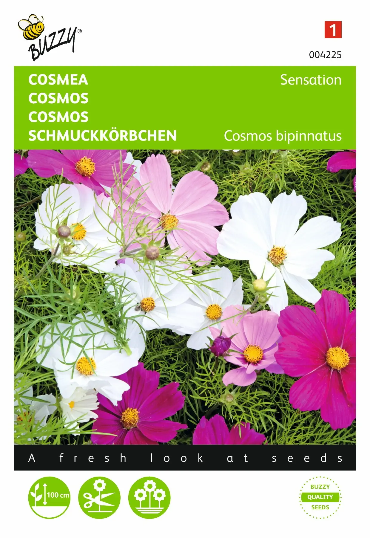 Zaden Cosmos Cosmea Sensation gemengd Buzzy