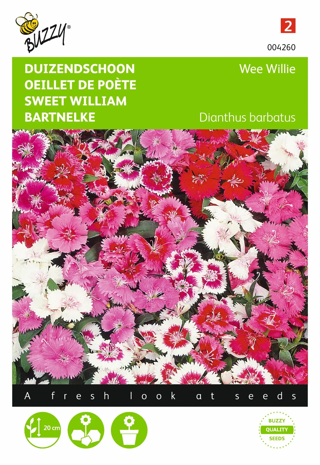 Zaden Dianthus Duizendschoon Wee Willie gemengd Buzzy