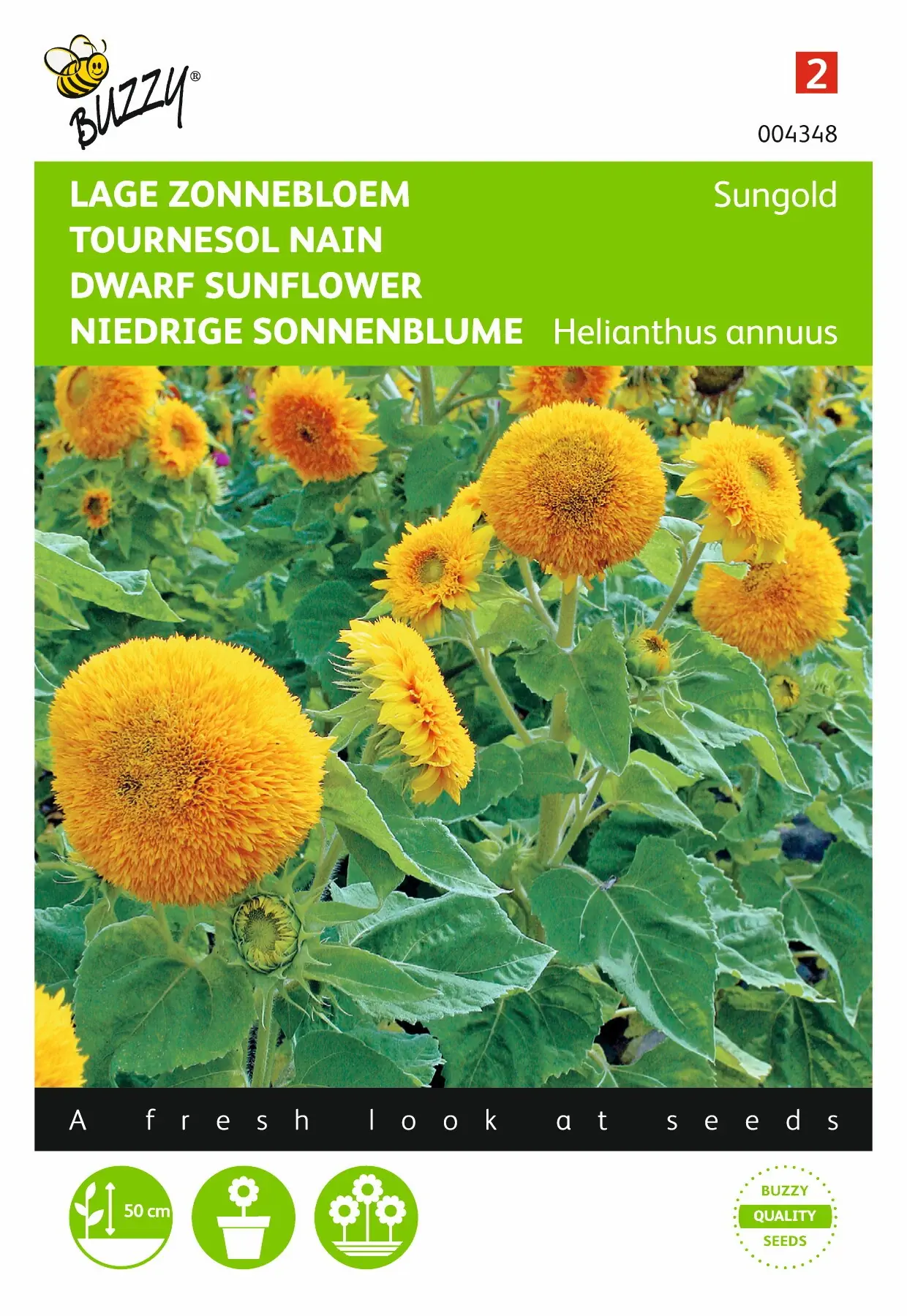 Zaden Helianthus Zonnebloem Sungold dubbelbloemig laag Buzzy