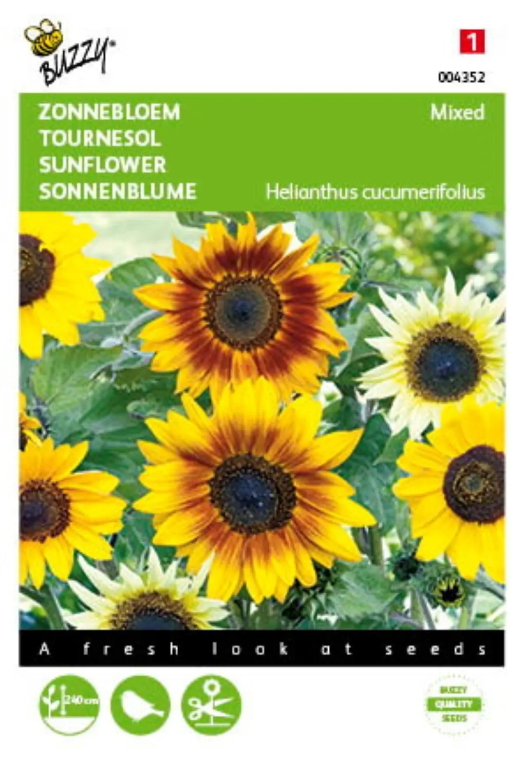 Zaden Helianthus Zonnebloem gemengd Buzzy
