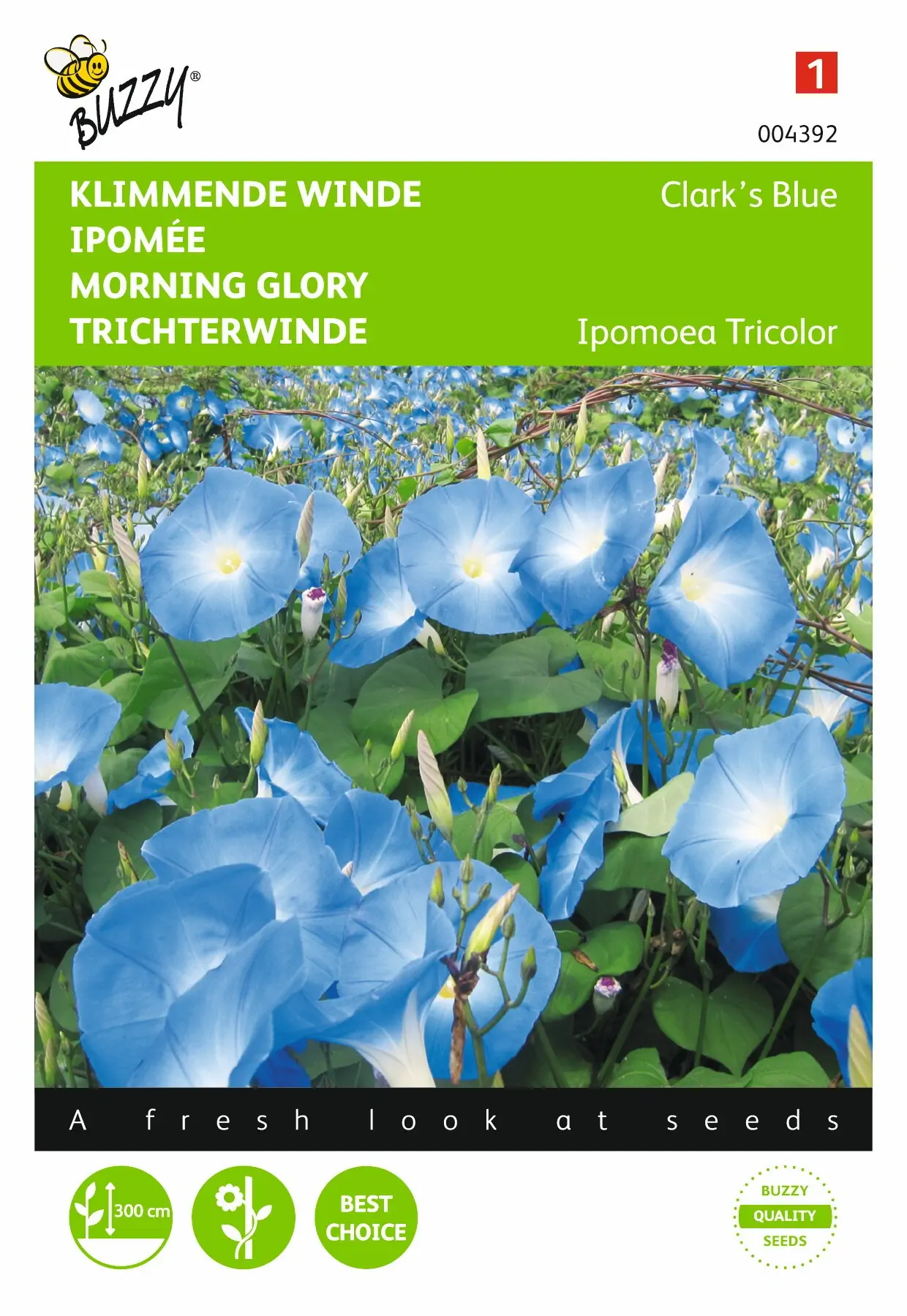 Zaden Ipomoea Klimmende winde Clark's Blue Buzzy