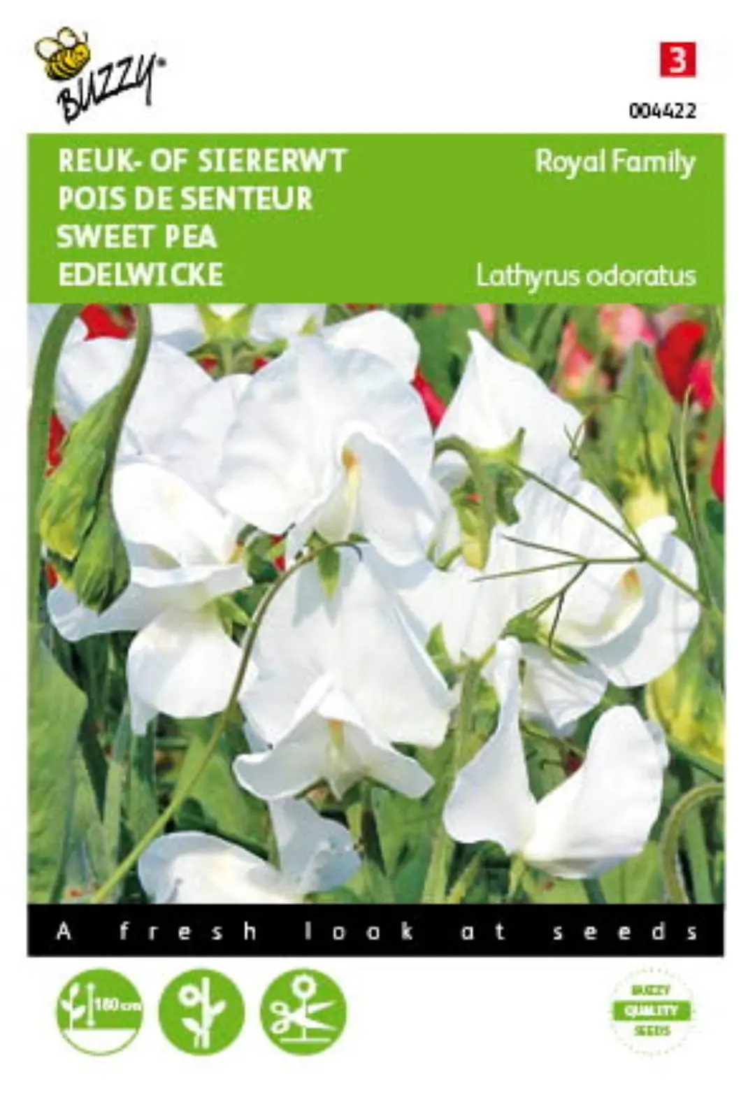 Zaden Lathyrus Reuk- of siererwt Royal Family Wit Buzzy