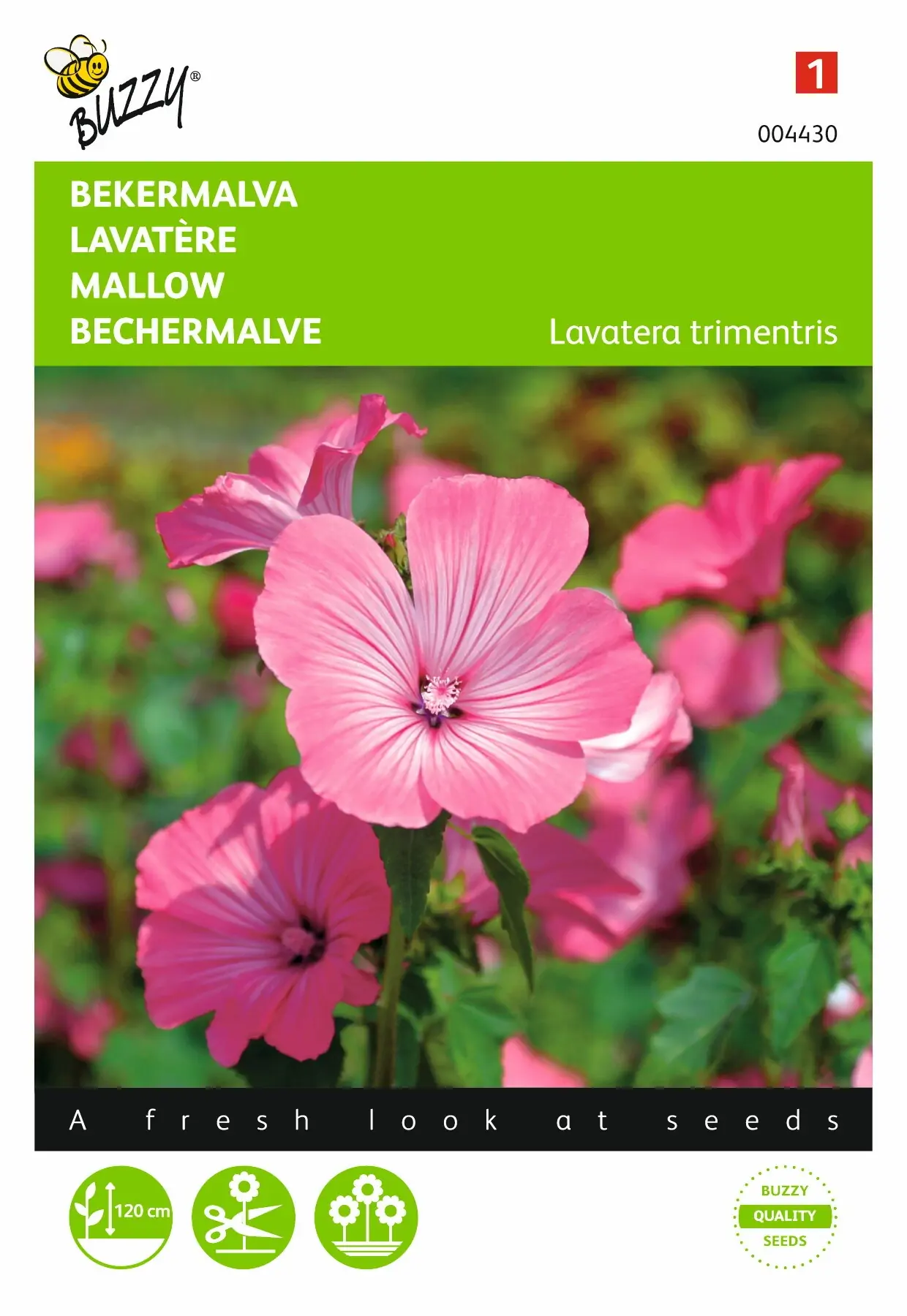 Zaden Lavatera Bekermalva Roze / Rood Buzzy