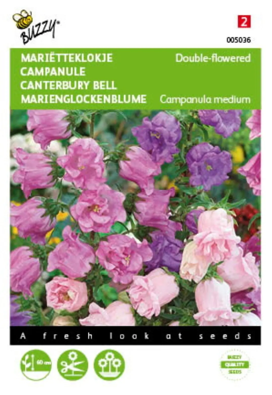 Zaden Campanula Marietteklokje dubbelbloemig Buzzy
