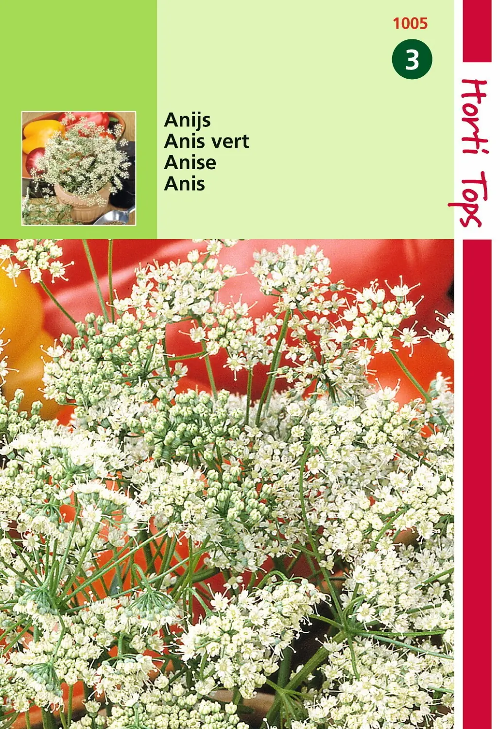 Zaden Anijs Hortitops