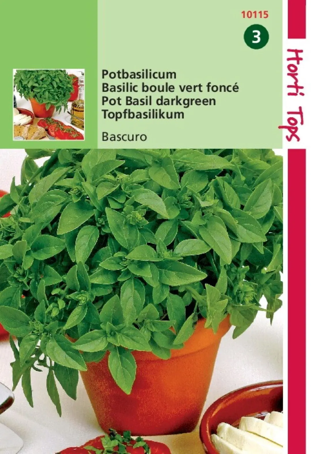 Zaden Pot-Basilicum Bascuro Griekse Donkergroene Hortitops