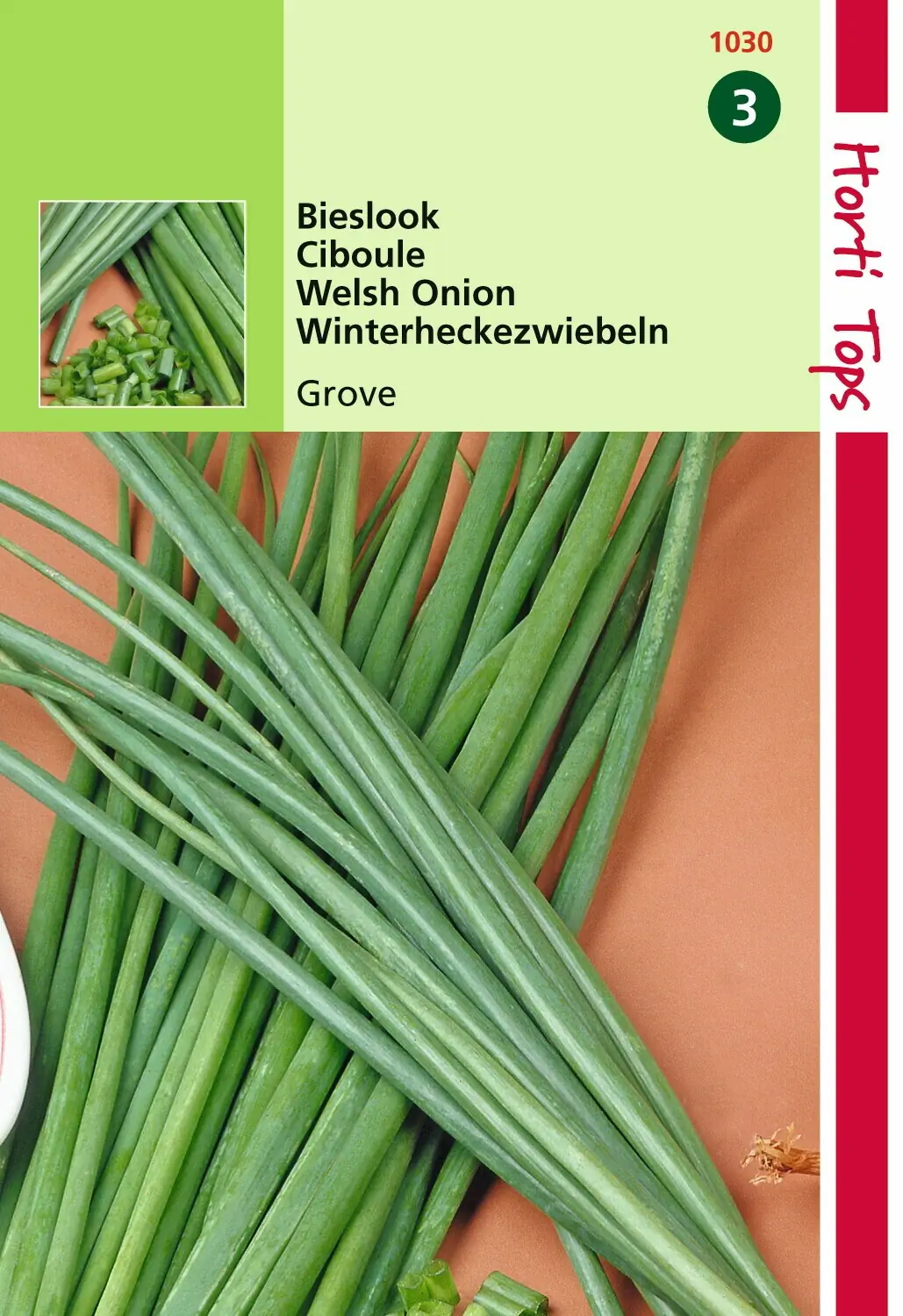 Zaden Bieslook Grove Hortitops