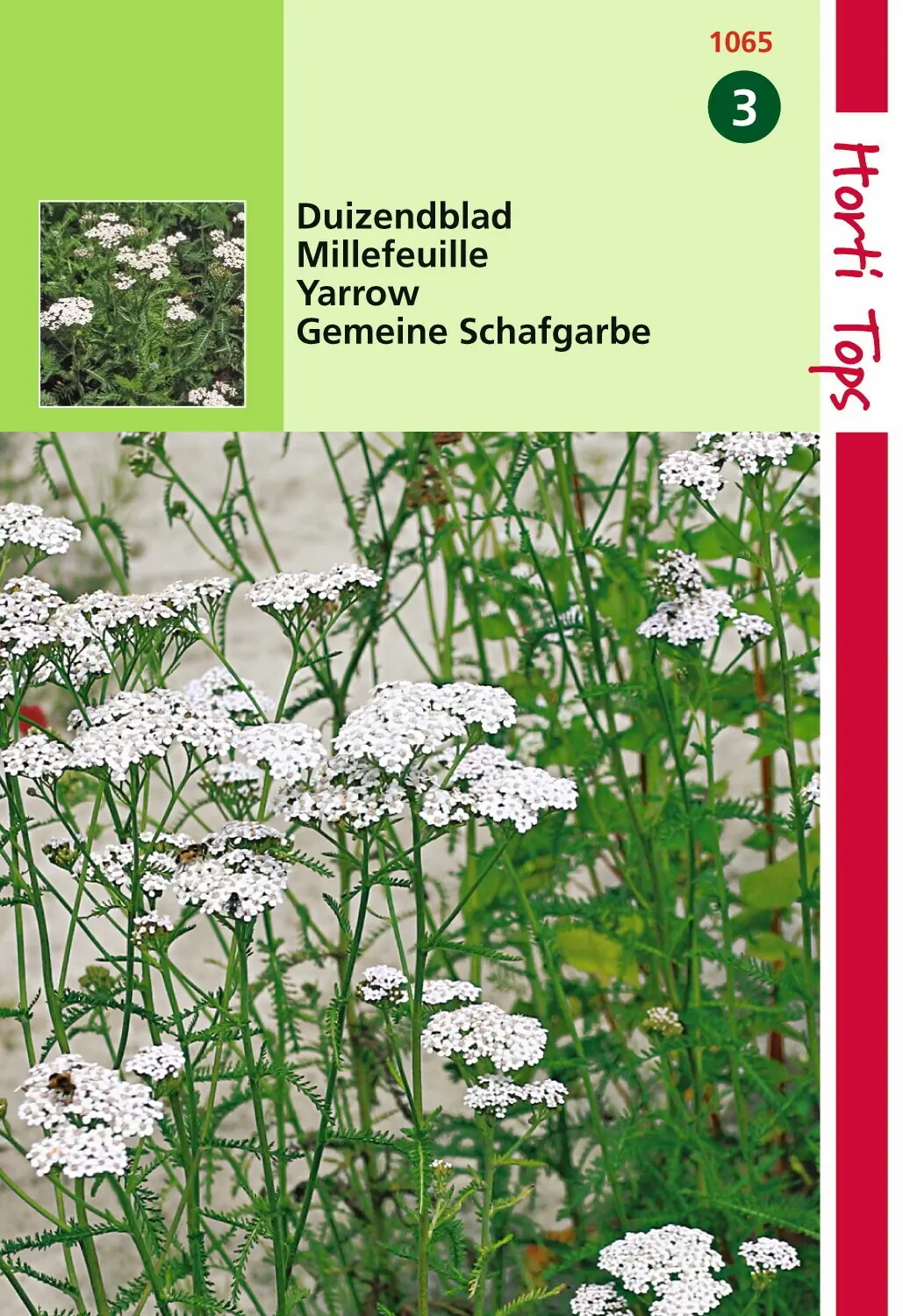 Zaden Duizendblad Hortitops