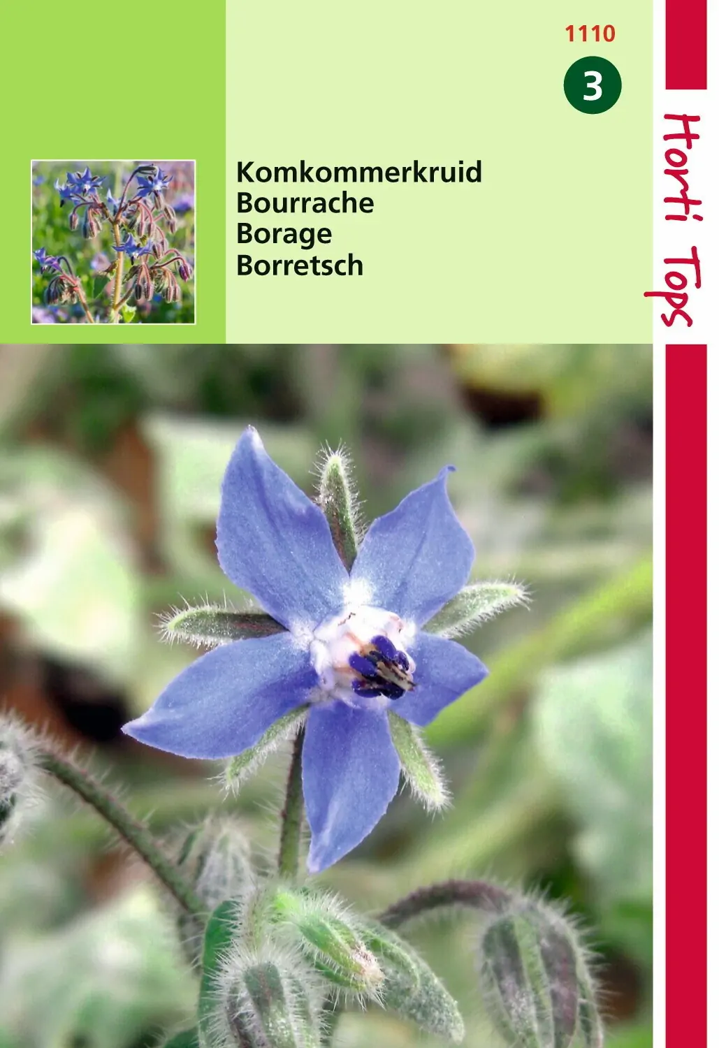 Zaden Komkommerkruid (Borage) Hortitops