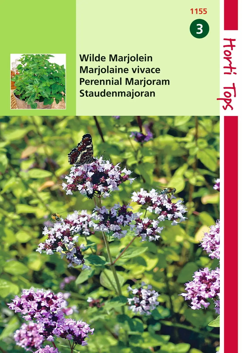 Zaden Marjolein - Oregano (rosebloeiend) Hortitops