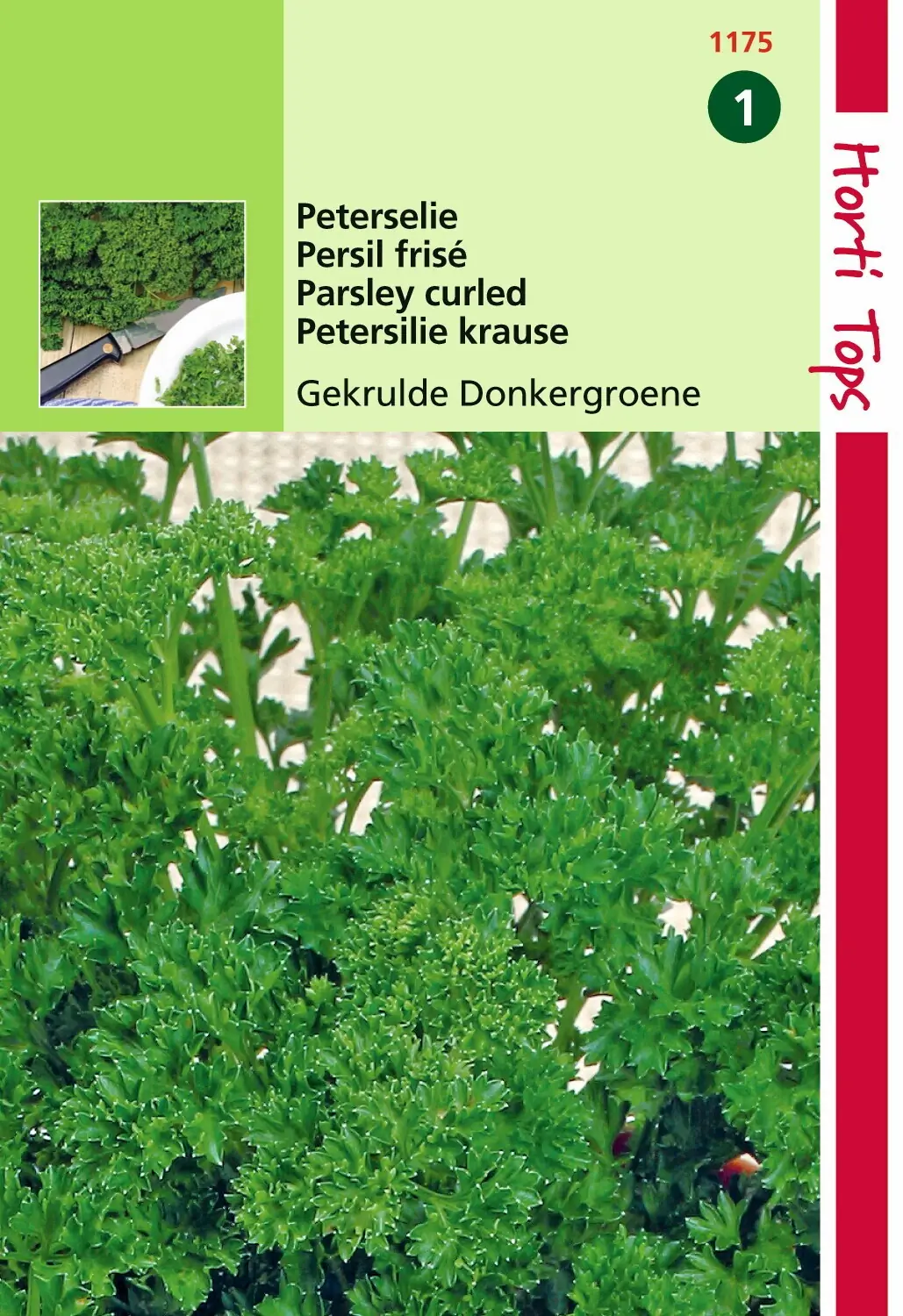 Zaden Peterselie Hortitops