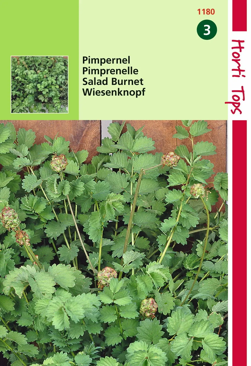 Zaden Pimpernel Kleine Hortitops
