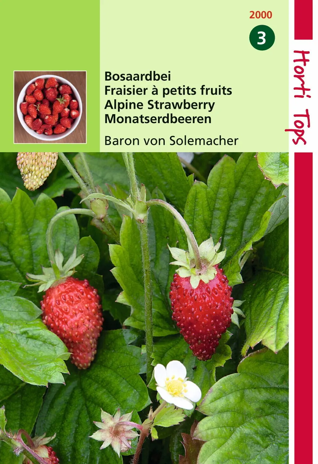 Zaden Bosaardbei - Baron von Solemacher Hortitops