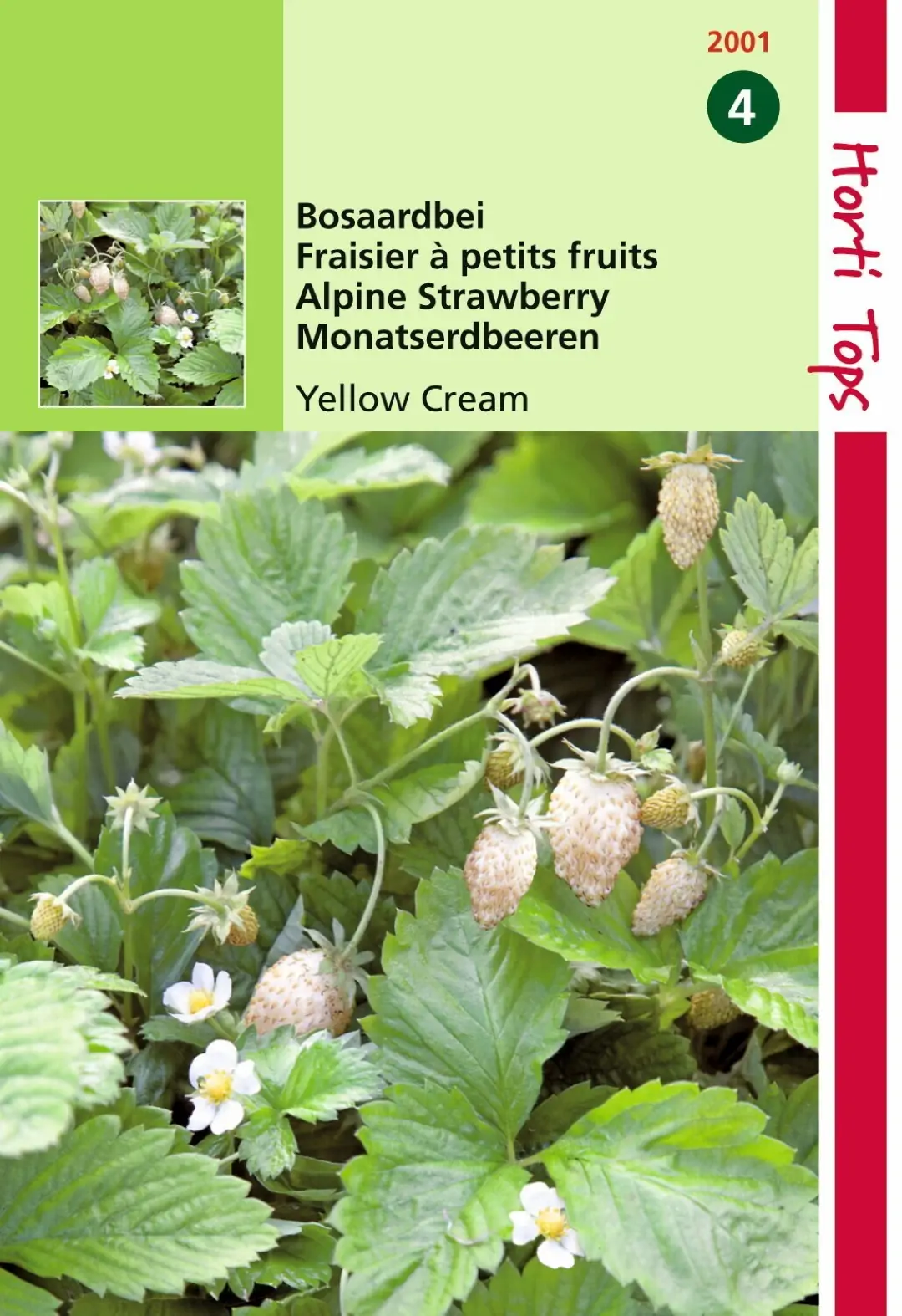 Zaden Bosaardbei - Yellow Cream Hortitops