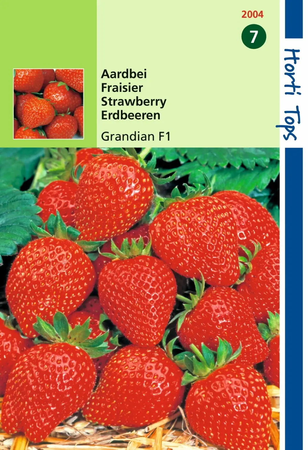 Zaden Aardbei Grandian F1 Hortitops