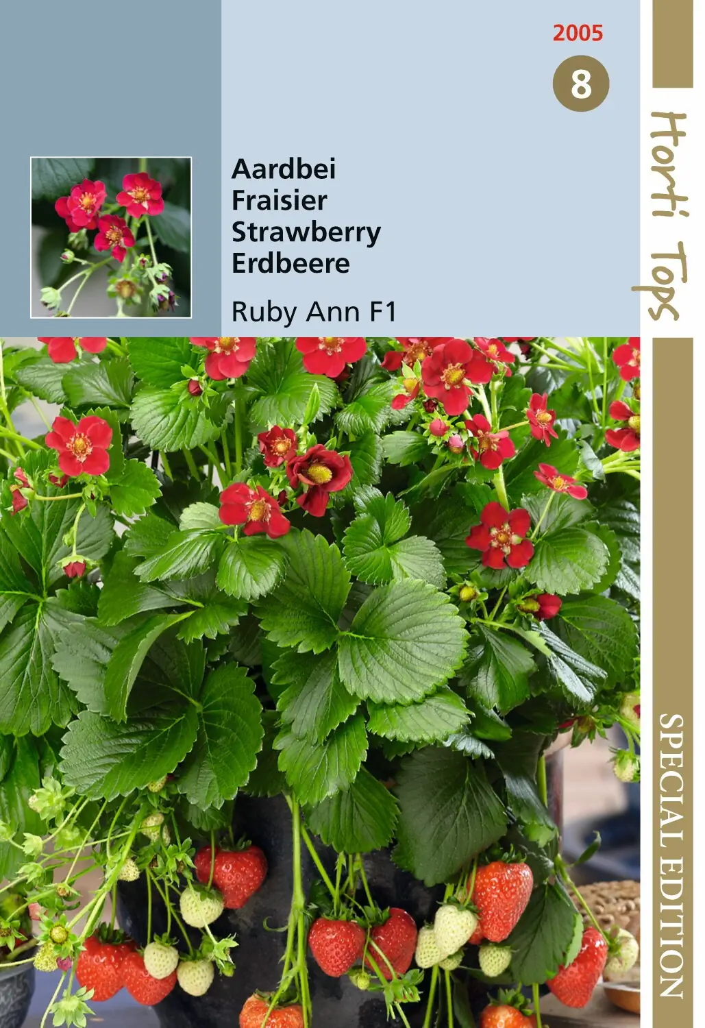 Zaden Aardbeien Ruby Ann F1 (hangaardbei) Hortitops