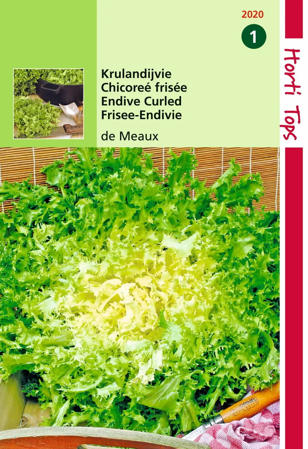 Zaden Krulandijvie De Meaux Hortitops