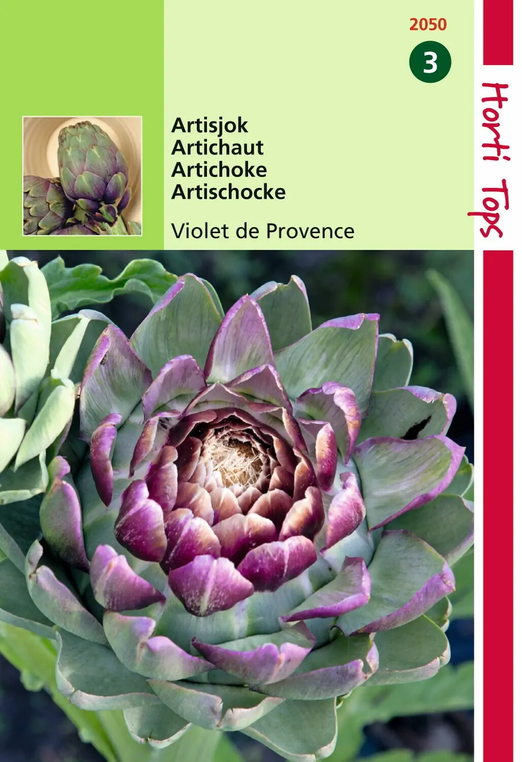 Zaden Artisjok Violet De Provence Hortitops