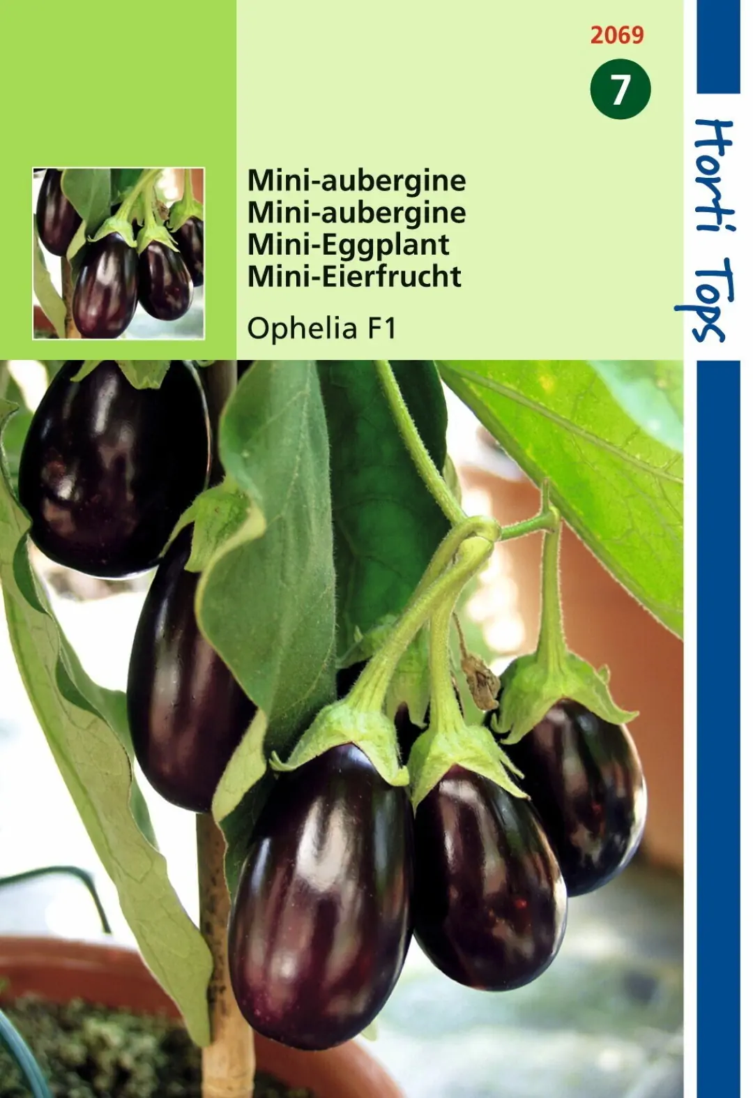 Zaden Aubergine mini Ophelia F1 Hortitops