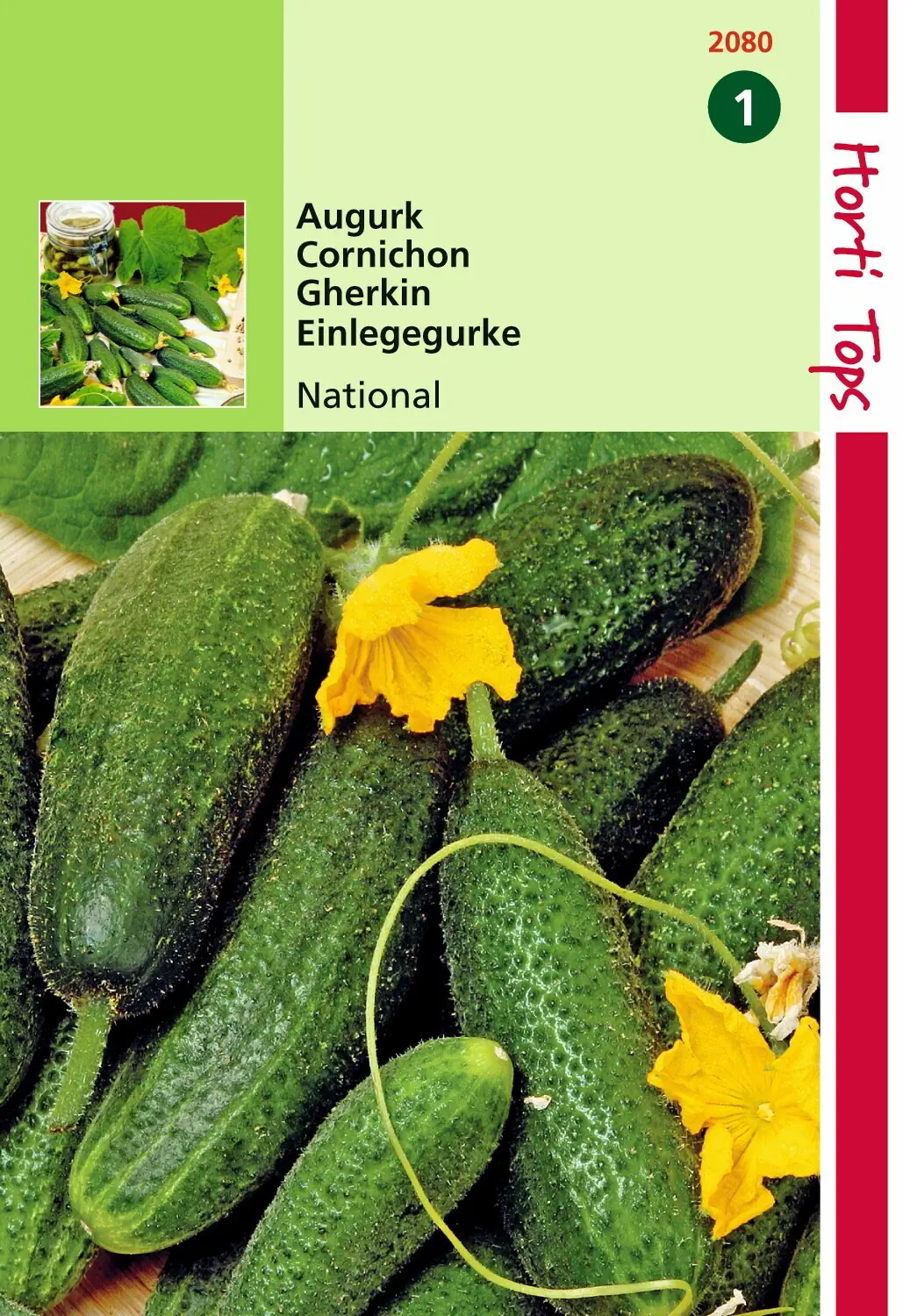 Zaden Augurken National (Kleine Groene) Hortitops