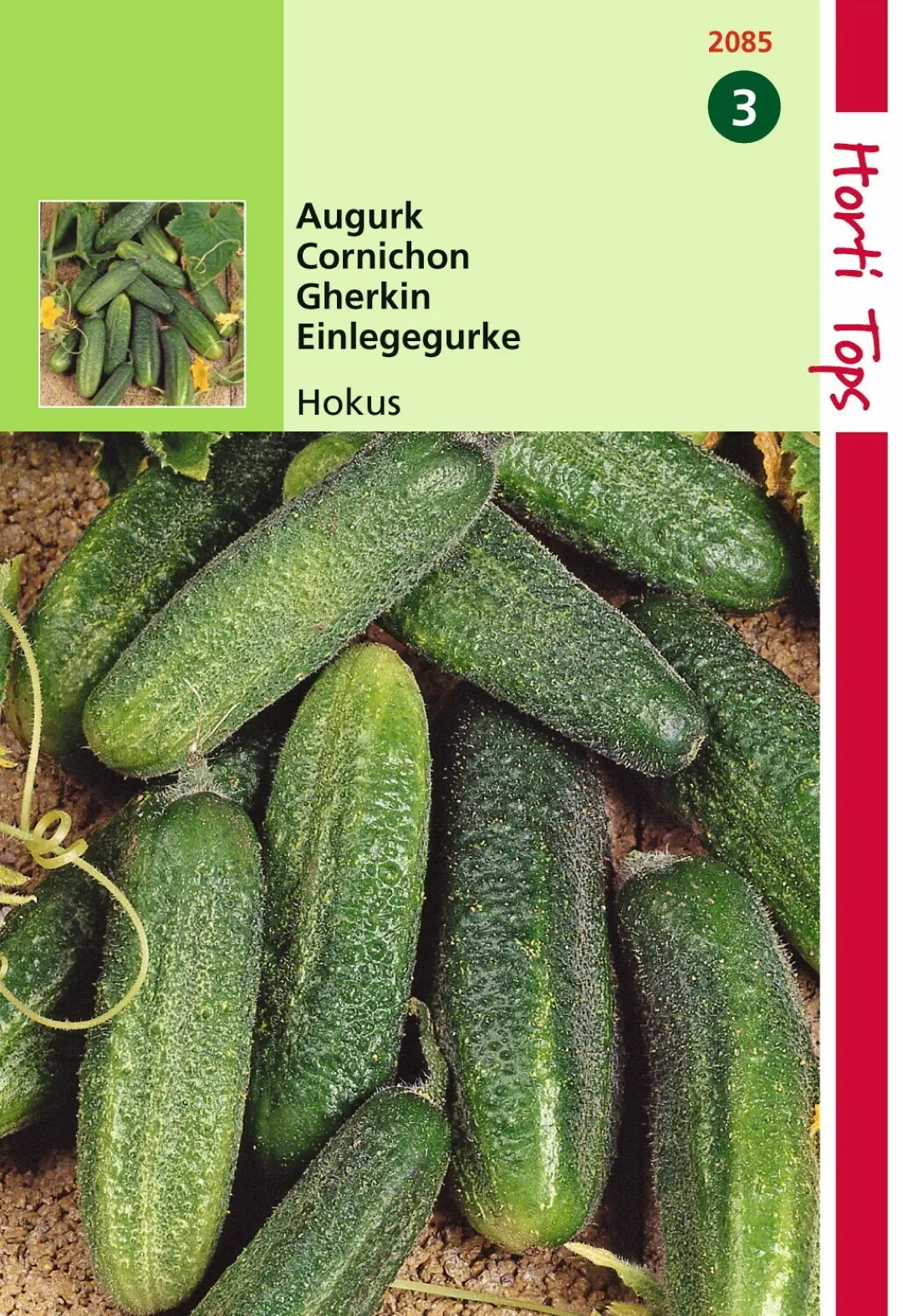 Zaden Augurken Hokus Hortitops