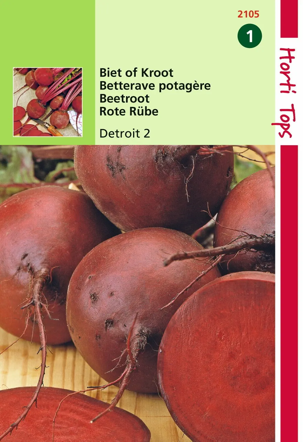 Zaden Bieten Kogel 2 Hortitops