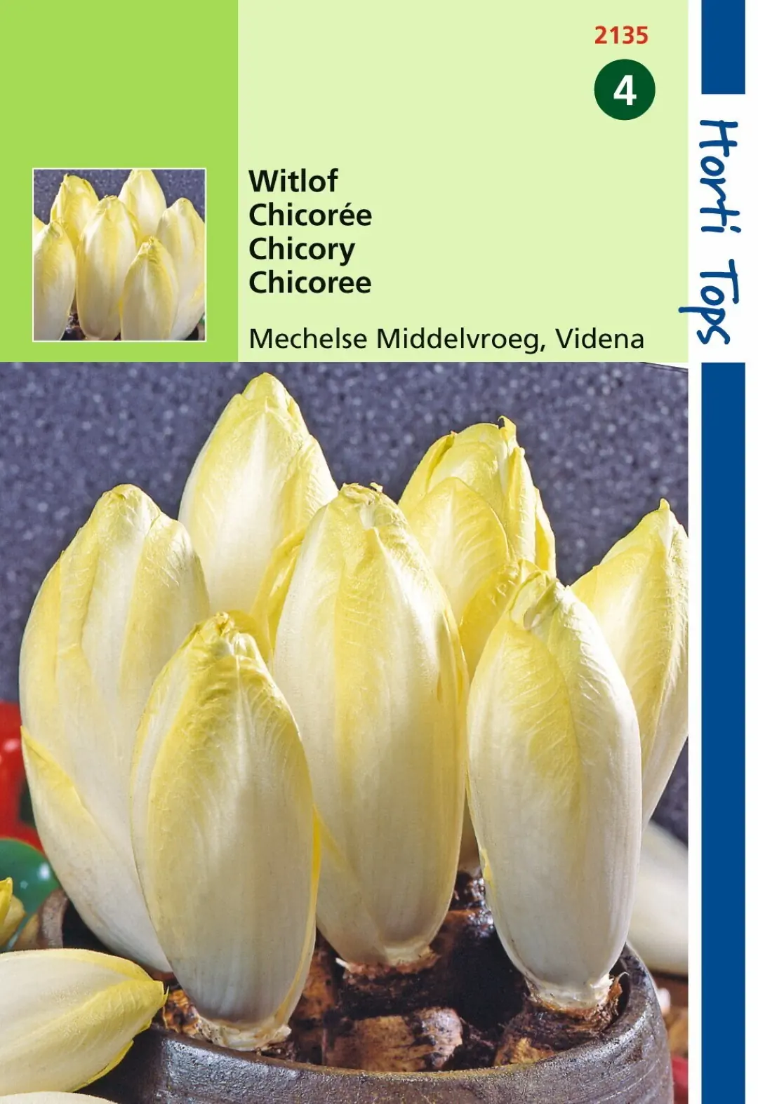 Zaden Witlof Mechelse Middelvroeg Videna Hortitops