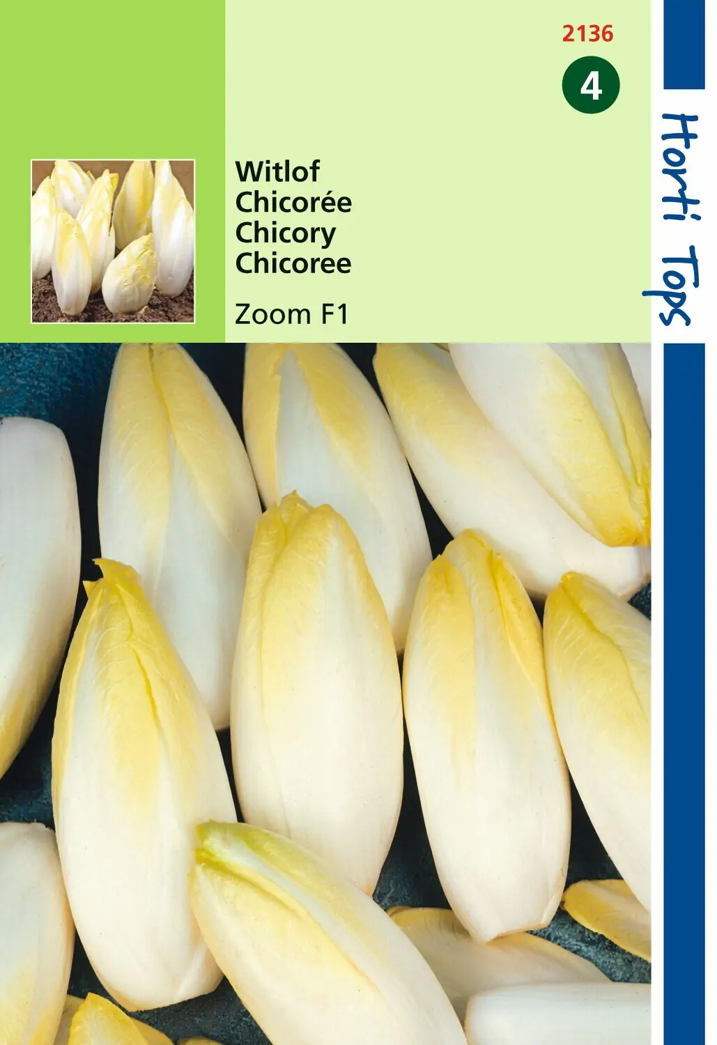 Zaden Brussels Witlof Zoom F1 Hortitops
