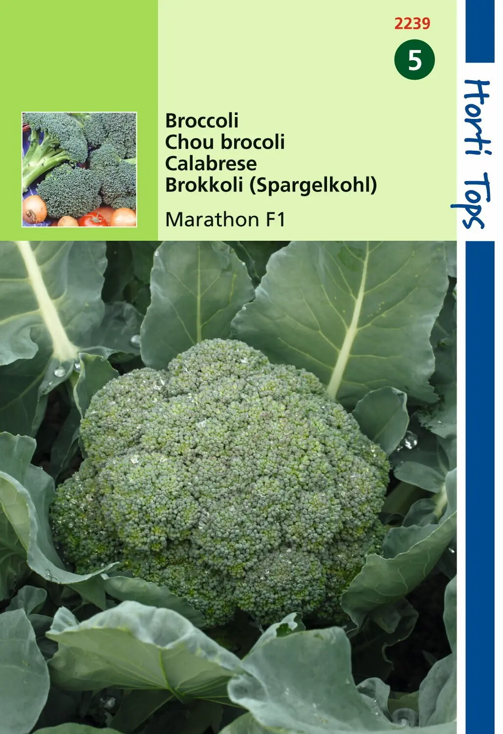 Zaden Broccoli Marathon F1 Hortitops