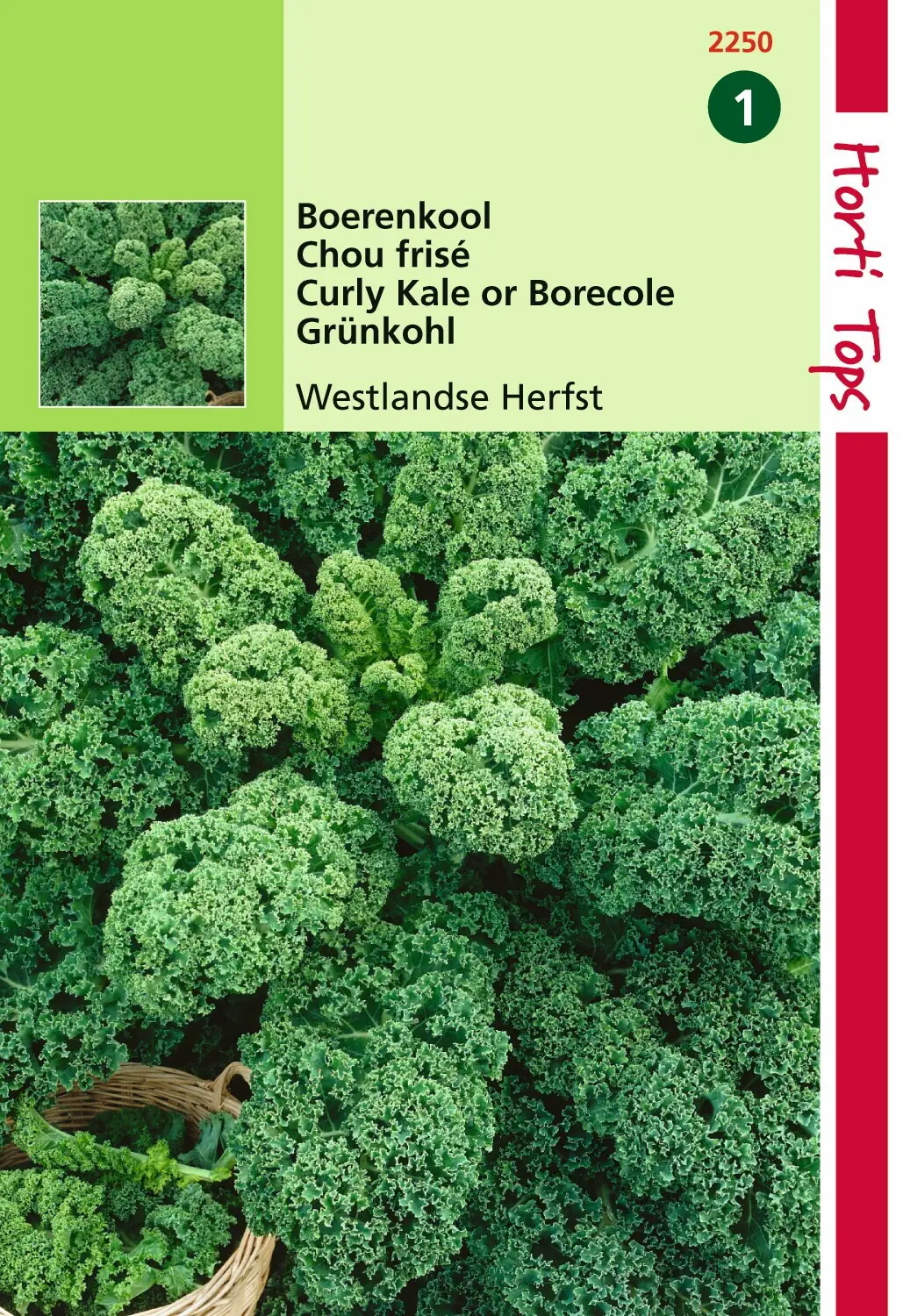 Zaden Boerenkool Westlandse Herfst laat type Hortitops